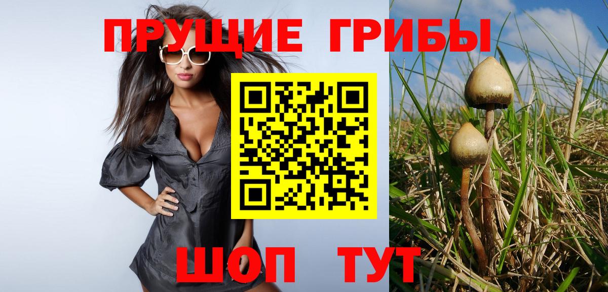 Приморско-Ахтарск  Псилоцибиновые грибы Cubensis  Вход с VPN 